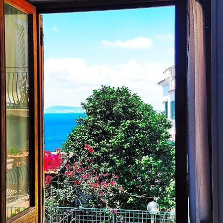 Mediterranea Nocleg ze śniadaniem 4*